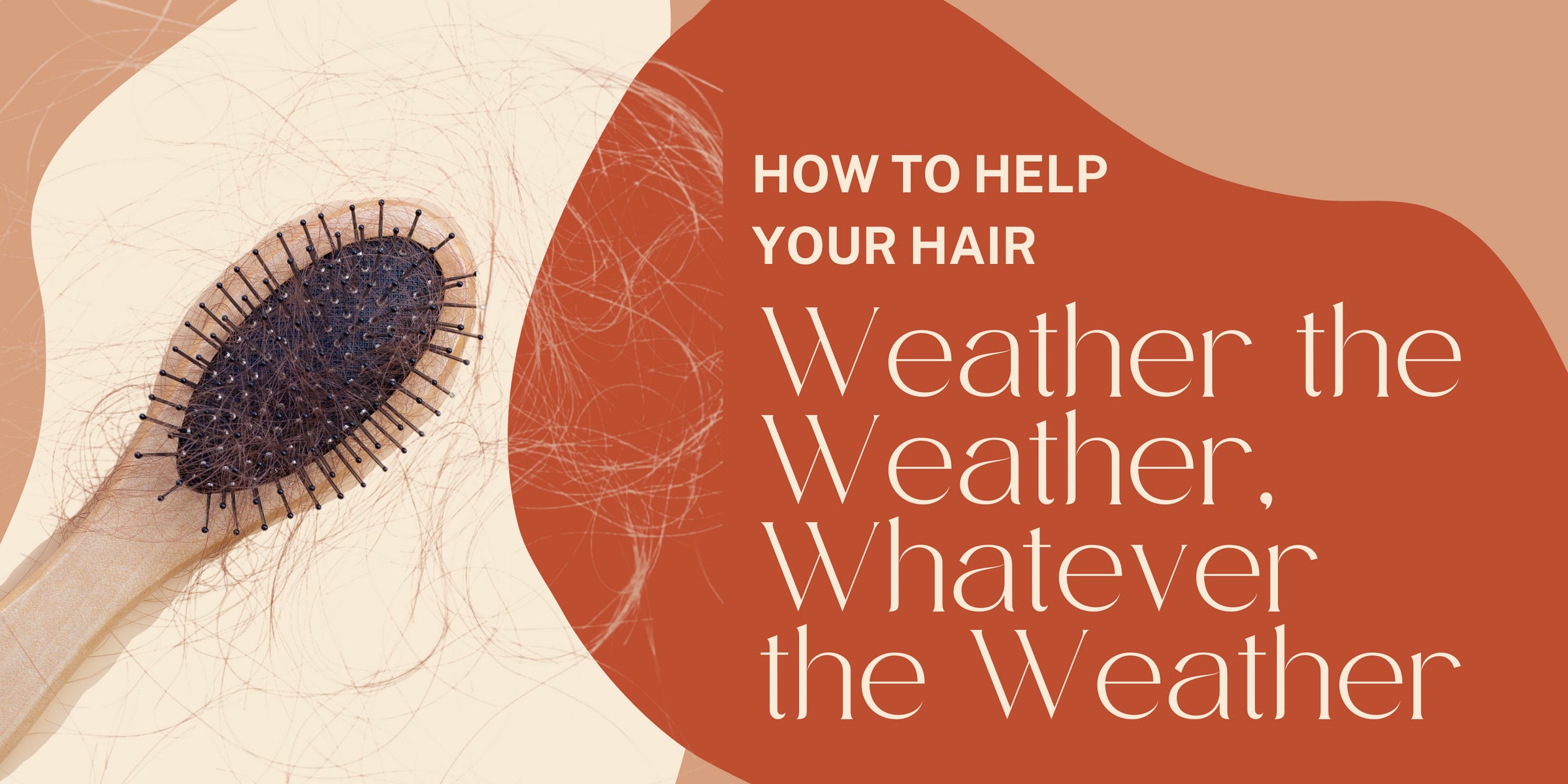 Does Your Scalp Care Routine Need To Change With the Seasons?