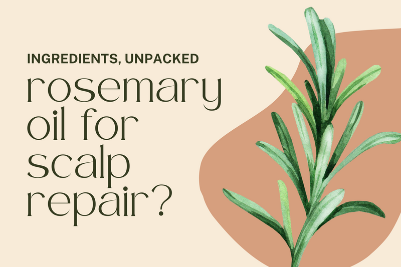 Rosemary Oil For Scalp Repair