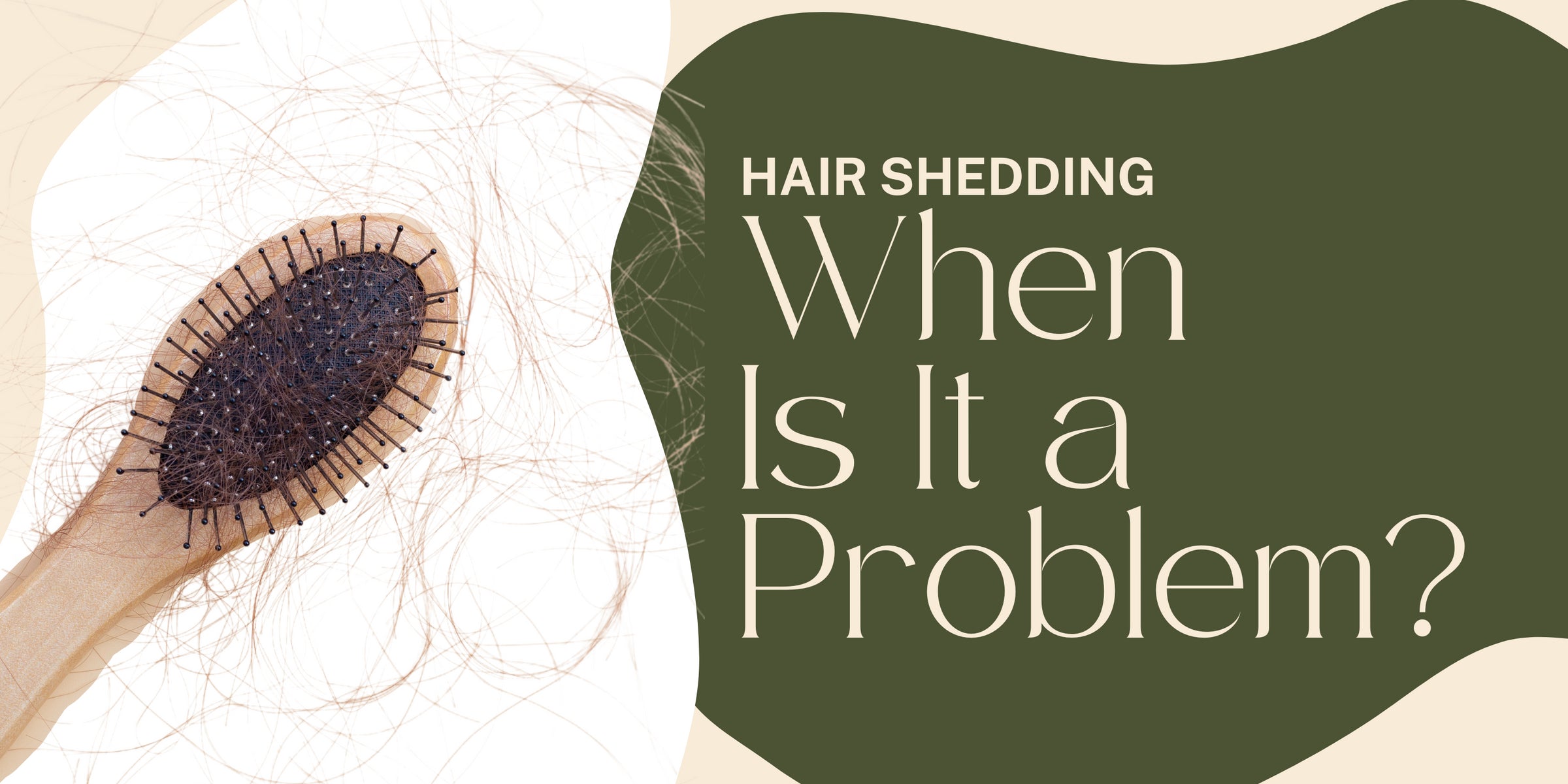 Hair Shedding: When Is It a Problem?