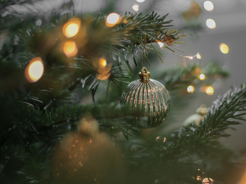 The Shit and The Sugar: Christmas Edition